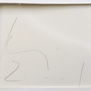 'Ghost Dog' (2001). 70cm x 100cm. 17 Dot version signature.